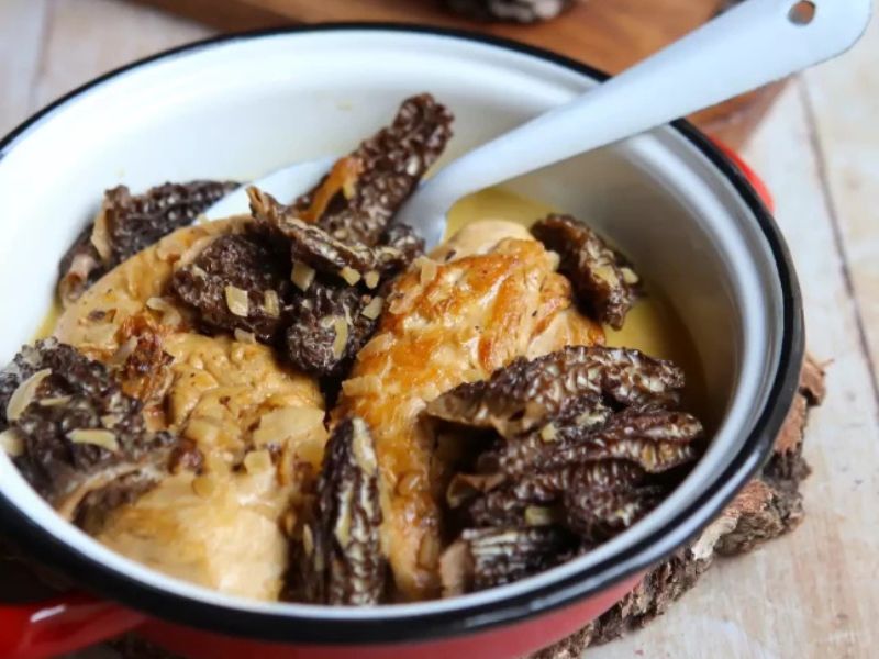 Suprême de poulet au champignons et morilles