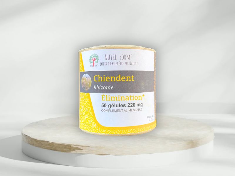 Chiendent